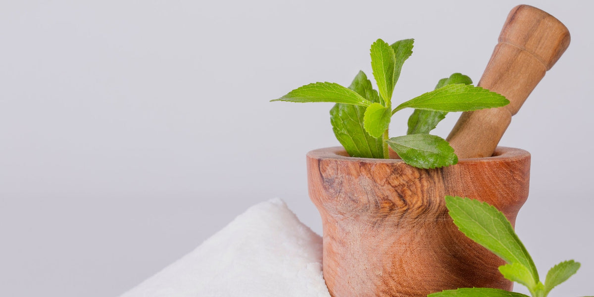 What's So Sweet About Stevia?