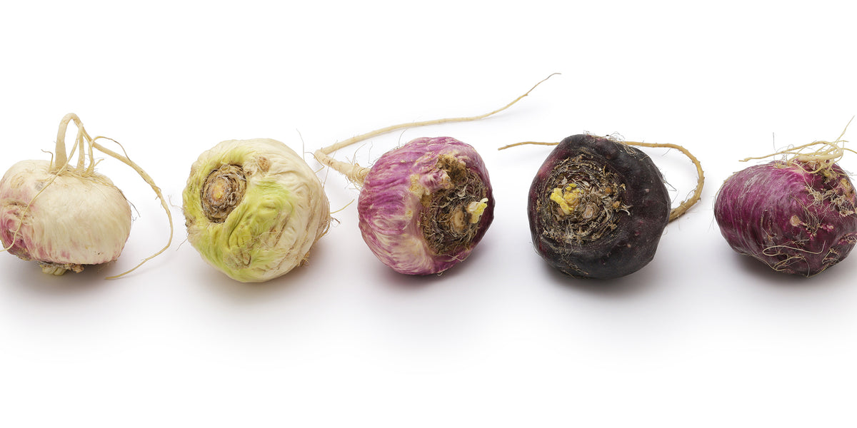 Maca Benefits: Everything You Need to Know